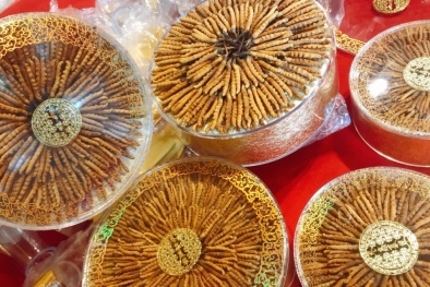 Cảnh giác đông trùng hạ thảo kém chất lượng quảng cáo phục hồi sức khỏe hậu Covid-19