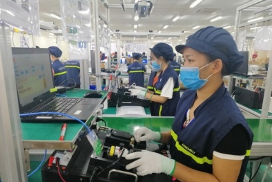 Hỗ trợ doanh nghiệp công nghiệp áp dụng hệ thống quản lý đáp ứng yêu cầu của chuỗi sản xuất 