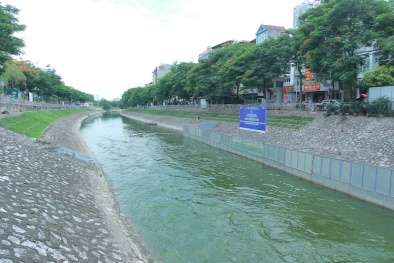 Quy chuẩn chất lượng nước mặt QCVN 08-MT:2015/BTNMT yêu cầu như thế nào?