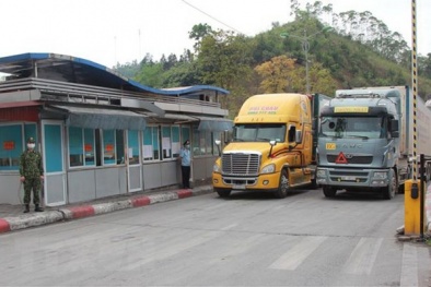 Xuất khẩu chính ngạch: Thông tin minh bạch, chất lượng đảm bảo