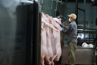 Đà Nẵng xử phạt 180 triệu đồng doanh nghiệp gây ô nhiễm môi trường