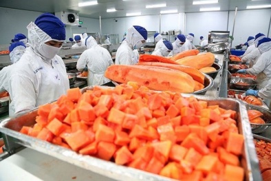 Doanh nghiệp sản xuất thực phẩm phải mở tài khoản và đăng ký sản phẩm xuất khẩu vào Trung Quốc 
