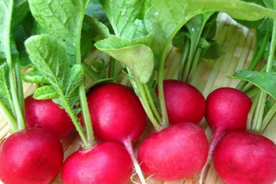 Lợi ích dinh dưỡng tuyệt vời của củ cải đỏ