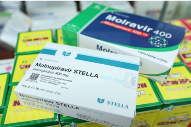 Có nên dùng thuốc đặc trị COVID-19 Molnupiravir khi tái nhiễm? 