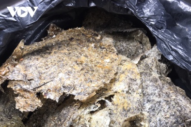 Cảnh giác khi mua yến tươi kẻo dính phải hàng 'siêu bẩn'