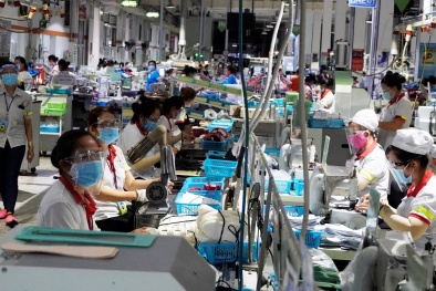 Hòa Bình: Doanh nghiệp từng bước làm chủ công nghệ, chủ động tiếp cận giải pháp kinh doanh mới