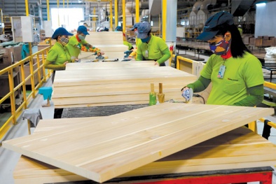 Cải thiện năng suất lao động ngành chế biến gỗ, hướng đến phát triển bền vững