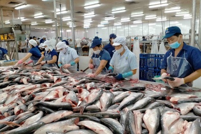 Doanh nghiệp thủy sản Việt không bị áp thuế chống bán phá giá của Mỹ