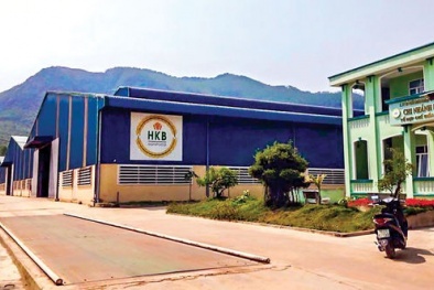 Vi phạm trong lĩnh vực chứng khoán, một số doanh nghiệp bị xử phạt nặng