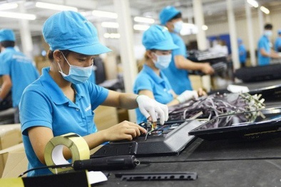 Kiên Giang: Hỗ trợ doanh nghiệp nâng cao năng suất và chất lượng sản phẩm, hàng hóa 