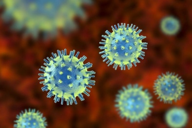 Phát hiện loại virus có thể vô hiệu hóa vi khuẩn kháng kháng sinh