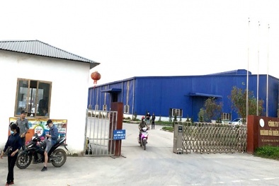 Công ty TNHH ngành gỗ Thiên An Việt Nam vi phạm an toàn phòng cháy, chữa cháy