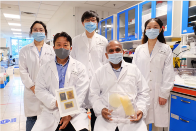 Loại giấy làm từ phấn hoa hướng dương có thể tẩy xóa và in lại có gì đặc biệt?