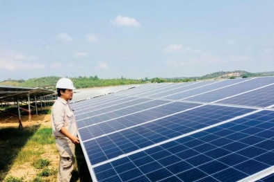 Long An xử phạt hai doanh nghiệp điện năng lượng mặt trời