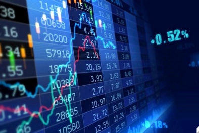 Chính sách bảo vệ người tiêu dùng tài chính tại Việt Nam