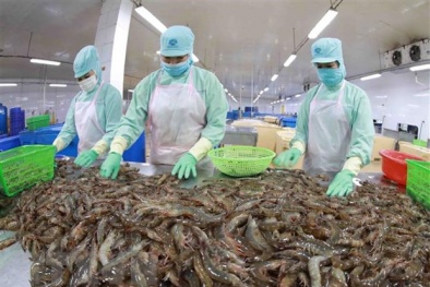 Doanh nghiệp thủy sản đặt mục tiêu lãi kỷ lục sau thời gian ảnh hưởng COVID-19