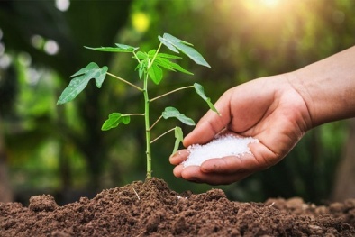 Quy định mới nhất của EU và Nhật Bản về mặt hàng phân bón