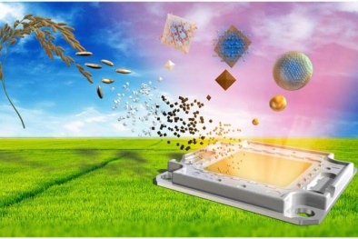 Chiếc đèn LED đầu tiên làm từ vỏ trấu có gì đặc biệt?