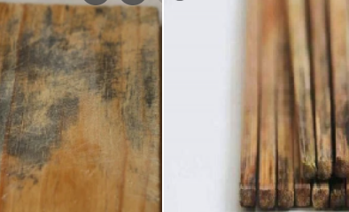 Chuyên gia giải đáp: Sự thật về thông tin 'đũa, thớt gỗ mốc chứa độc tố gây ung thư
