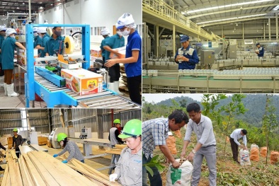 Kết nối doanh nghiệp sản xuất và phân phối, đưa sản phẩm chất lượng đến tay người dùng