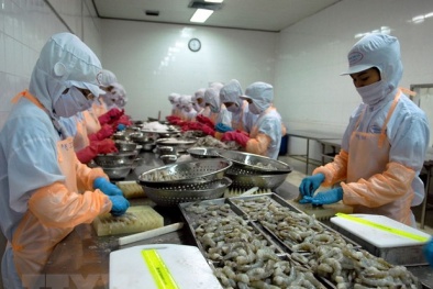 Xuất khẩu tôm sang Nhật Bản: Khởi sắc sau 2 năm ảm đạm