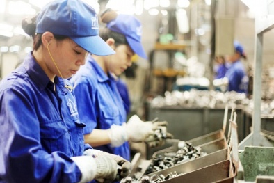 Phú Thọ: Hỗ trợ nâng cao năng suất, chất lượng sản phẩm hàng hóa trên địa bàn tỉnh năm 2022