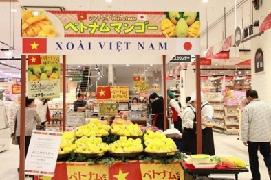 Khởi tạo hệ sinh thái Thương hiệu Quốc gia