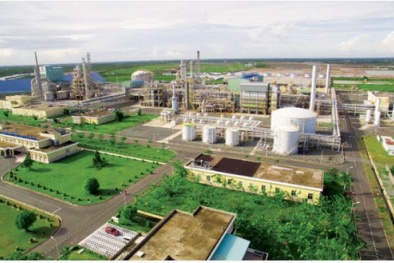 Phân Bón Cà Mau góp phần nâng tầm giá trị nông sản Việt