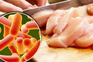 Nguy cơ ngộ độc từ vi khuẩn Salmonella