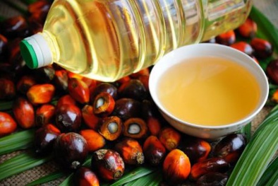 Indonesia cấm xuất khẩu dầu cọ thô (CPO) và dầu ăn: Giá dầu thực vật tại Việt Nam có bị ảnh hưởng?