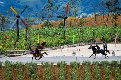 Hé lộ đường đua thơ mộng của 'Vó ngựa trên mây' lần 4