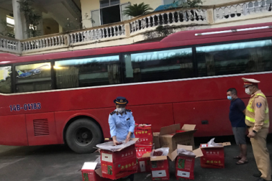 Thu giữ nửa tấn táo tàu khô đã ẩm mốc không nguồn gốc xuất xứ