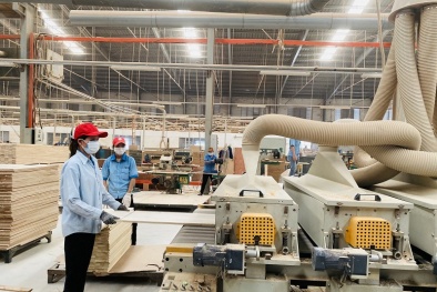 Ngành gỗ đối mặt 2 mối lo lớn về nguyên liệu và lưu thông hàng hóa