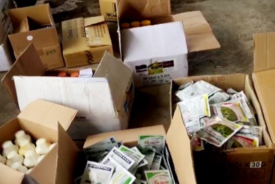 An Giang: Tạm giữ số lượng lớn thuốc bảo vệ thực vật, phân bón không rõ nguồn gốc