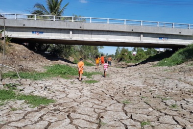 Ra mắt mạng lưới doanh nghiệp thích ứng biến đổi khí hậu vùng ĐBSCL