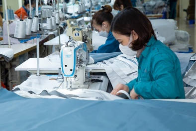 Xu hướng phát triển bền vững trong ngành dệt may