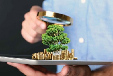 Sở hữu trí tuệ trở thành công cụ hữu hiệu để xây dựng nền kinh tế xanh
