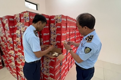 Hà Nội: Tạm giữ hàng nghìn thùng bánh bông lan nghi nhập lậu