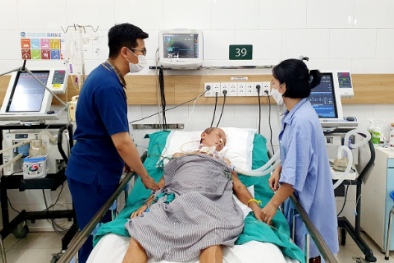 Tổn thương não do uống rượu ngâm rễ cây rừng
