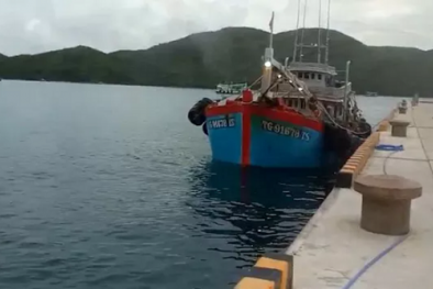 Thu giữ tàu chở 100.000 lít dầu DO không rõ nguồn gốc