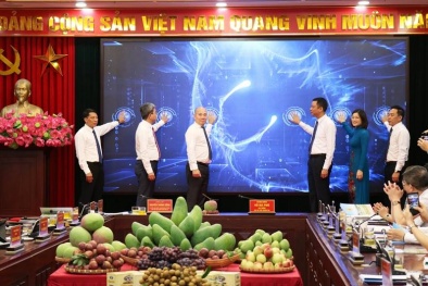 Sơn La: Khai trương sàn giao dịch và truy xuất nguồn gốc, xuất xứ nông sản