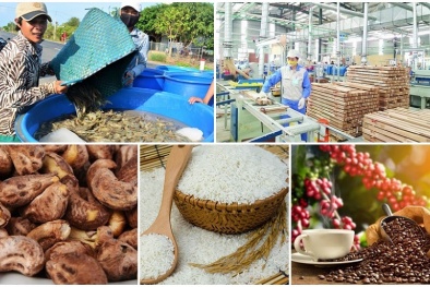 FTA  mở ra cơ hội giúp nông sản Việt ghi dấu ấn trên thị trường thế giới