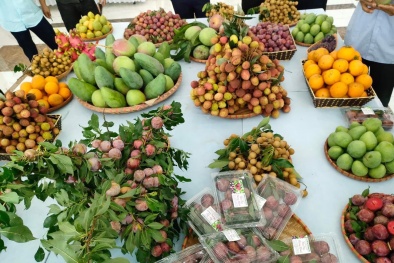 Nông sản vào chính vụ, nhiều địa phương đẩy mạnh tiêu thụ qua sàn thương mại điện tử