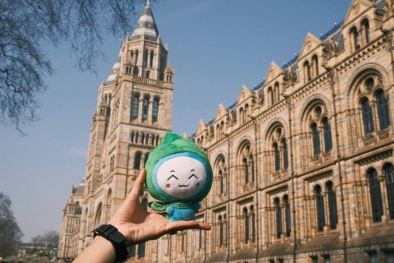 Thoả thích bay quốc tế hè này cùng Bamboo Airways chỉ từ 2.032.000 đồng