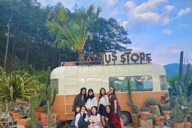 Đón hè rực rỡ, rinh ưu đãi 20% giá vé máy bay với Bamboo Holidays