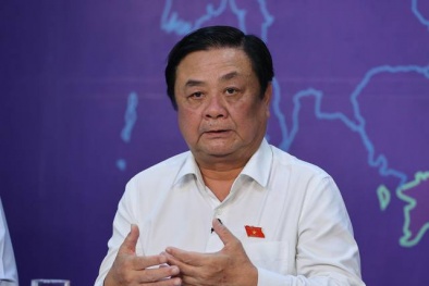 Nông sản Việt bắt đầu đạt chuẩn, đáp ứng chuẩn mực cao của thế giới