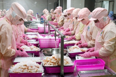 Bộ Công Thương xét chọn 'Doanh nghiệp xuất khẩu uy tín' năm 2021