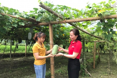 Vải thiều Bắc Giang, bí xanh Bắc Kạn được thúc đẩy tiêu thụ tại hệ thống bán lẻ WinMart/WinMart+