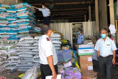 Phân bón giả và những hệ lụy nhãn tiền