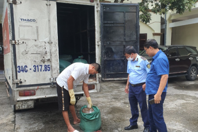 Thu giữ hàng tấn mỡ lỏng bốc mùi đang bán ra thị trường